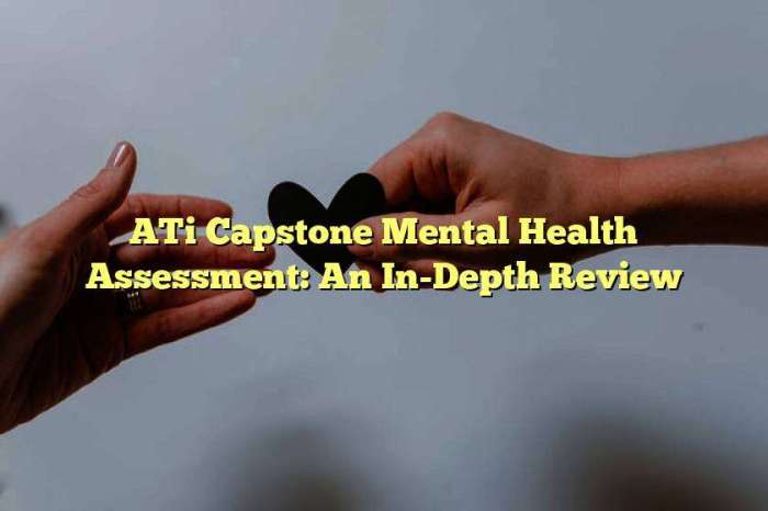 Ati mental health capstone assessment