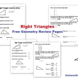 Special right triangles practice worksheet