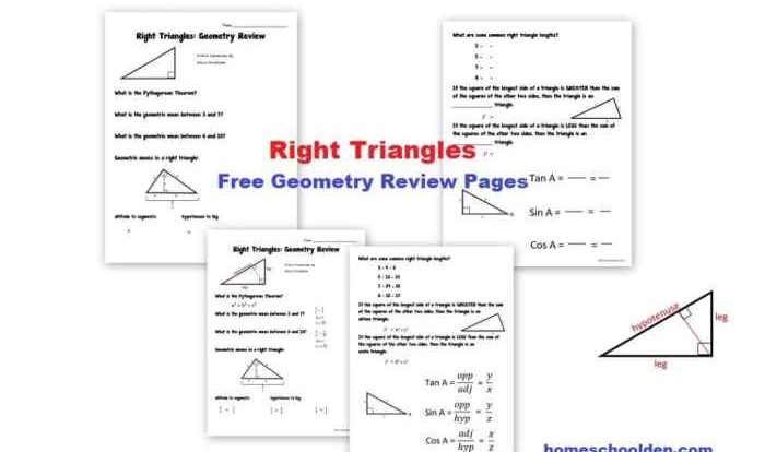 Special right triangles practice worksheet