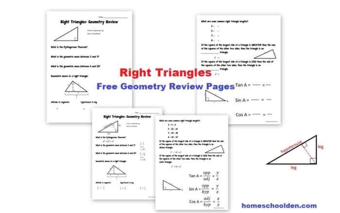 Special right triangles practice worksheet