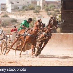 Chariots roman jerash chariot