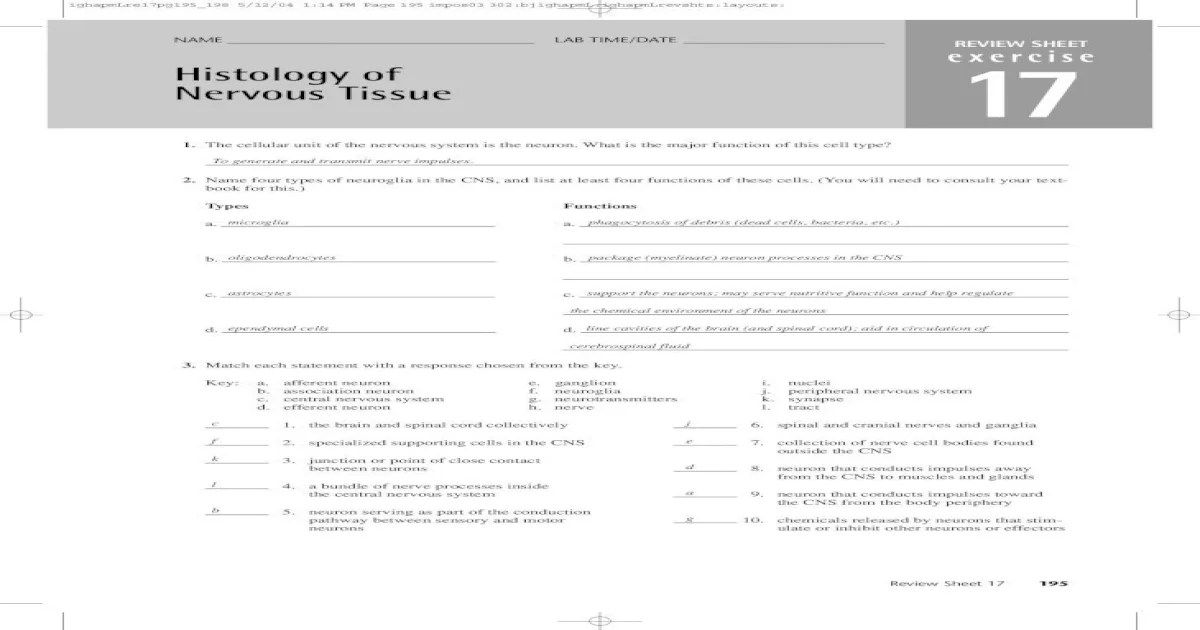 Histology of nervous tissue review sheet