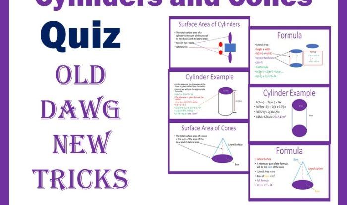 Surface area of pyramids and cones quiz