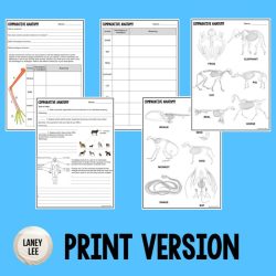 Structures evolution homologous station worksheet questions evidence vestigial analogous