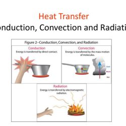 Radiation convection and conduction worksheet