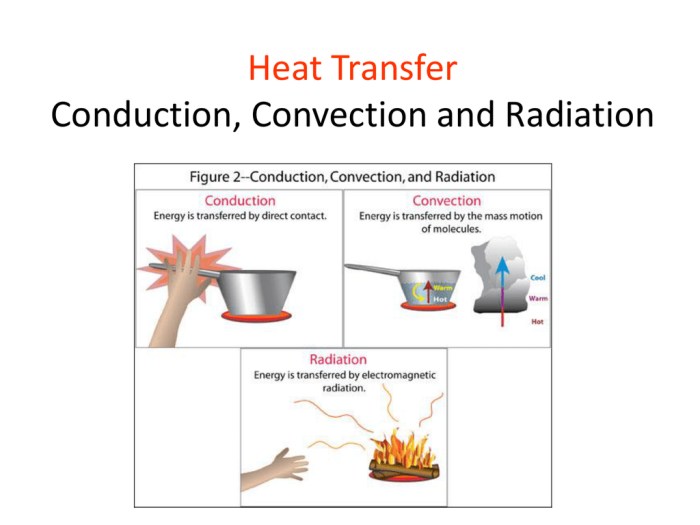 Radiation convection and conduction worksheet